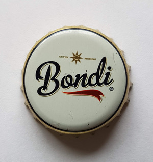 Bondi, Bondi Brewery Limited